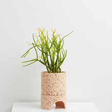 Load image into Gallery viewer, Archie Planter