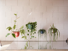 Load image into Gallery viewer, Clifton Hanging Plant Pot