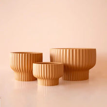 Load image into Gallery viewer, Presley Pedestal Planter