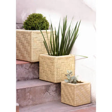 Load image into Gallery viewer, Woven Palm Cubes