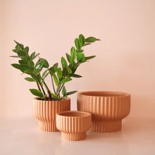 Load image into Gallery viewer, Presley Pedestal Planter