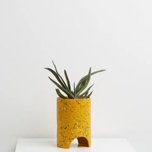 Load image into Gallery viewer, Archie Planter