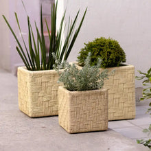 Load image into Gallery viewer, Woven Palm Cubes