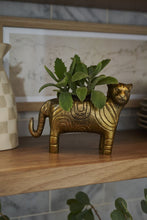 Load image into Gallery viewer, Tiger Pot