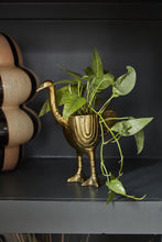 Load image into Gallery viewer, Ostrich Pot
