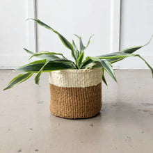 Load image into Gallery viewer, Coconut Storage Basket