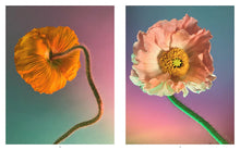 Load image into Gallery viewer, Still Life