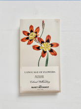 Load image into Gallery viewer, The Language of Flowers Bar