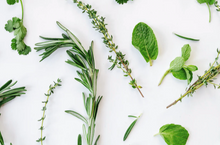 Load image into Gallery viewer, Plant Propagation Class Sunday, June 8, 5pm