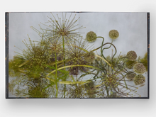 Load image into Gallery viewer, Emily Thompson Flowers