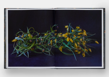 Load image into Gallery viewer, Emily Thompson Flowers