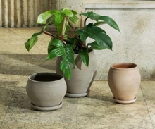 Load image into Gallery viewer, Delphi Planter