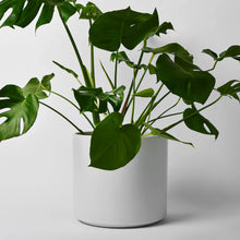 Load image into Gallery viewer, Ceramic Cylinder Pot