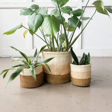 Load image into Gallery viewer, Coconut Storage Basket