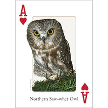 Load image into Gallery viewer, Birds of Northeast Playing Cards