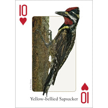 Load image into Gallery viewer, Birds of Northeast Playing Cards