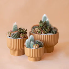 Load image into Gallery viewer, Presley Pedestal Planter