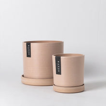Load image into Gallery viewer, Signature Stone Planter + Saucer