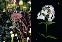 Load image into Gallery viewer, Edible Flowers: How, Why, and When We Eat Flowers