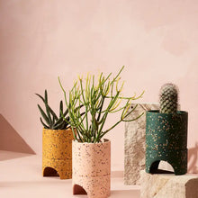 Load image into Gallery viewer, Archie Planter