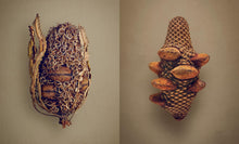 Load image into Gallery viewer, The Hidden Beauty of Seeds & Fruits