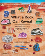Load image into Gallery viewer, What a Rock Can Reveal