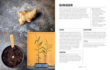 Load image into Gallery viewer, Sow Grow Gather