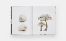 Load image into Gallery viewer, STILL: The Art of Noticing