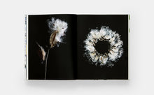 Load image into Gallery viewer, STILL: The Art of Noticing