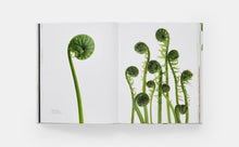 Load image into Gallery viewer, STILL: The Art of Noticing