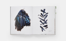 Load image into Gallery viewer, STILL: The Art of Noticing