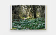 Load image into Gallery viewer, A Year in Bloom: Flowering Bulbs for Every Season