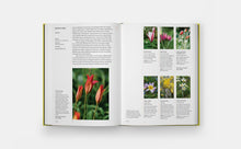 Load image into Gallery viewer, A Year in Bloom: Flowering Bulbs for Every Season