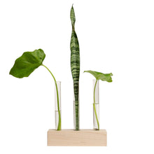 Load image into Gallery viewer, Propogation Station