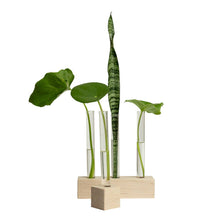 Load image into Gallery viewer, Propogation Station