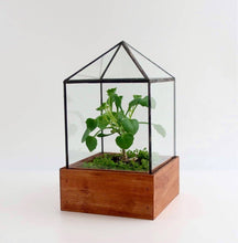 Load image into Gallery viewer, Little House Terrarium