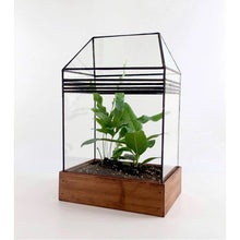 Load image into Gallery viewer, Baret Terrarium