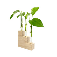 Load image into Gallery viewer, Propogation Station