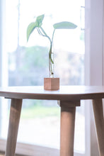 Load image into Gallery viewer, Propogation Station