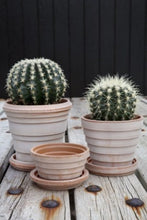 Load image into Gallery viewer, Planet Pot + Saucer