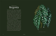 Load image into Gallery viewer, Plantopedia