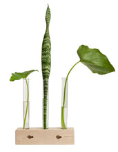 Load image into Gallery viewer, Propogation Station