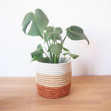 Load image into Gallery viewer, Juru Basket Planters