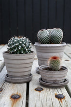 Load image into Gallery viewer, Planet Pot + Saucer