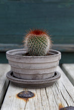 Load image into Gallery viewer, Planet Pot + Saucer