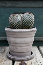 Load image into Gallery viewer, Planet Pot + Saucer