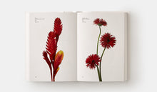 Load image into Gallery viewer, Flower Color Guide