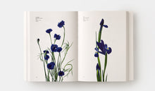 Load image into Gallery viewer, Flower Color Guide
