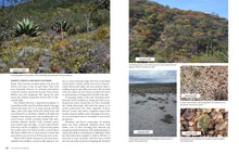 Load image into Gallery viewer, The Timber Press Guide to Succulent Plants of the World