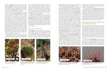 Load image into Gallery viewer, The Timber Press Guide to Succulent Plants of the World